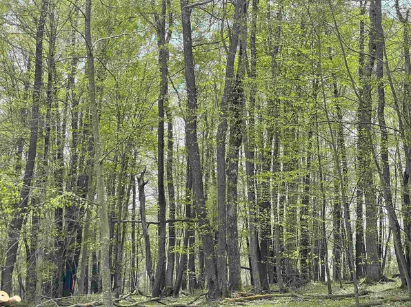 Lots 20 And 21 Snowy Creek St, Terra Alta, WV 26764