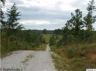 11456 Will Walker Rd, Vance, AL 35490