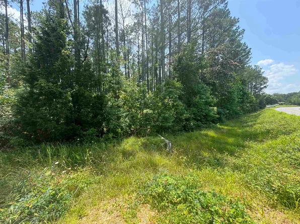 0 Highway 19, Vina, AL 35593