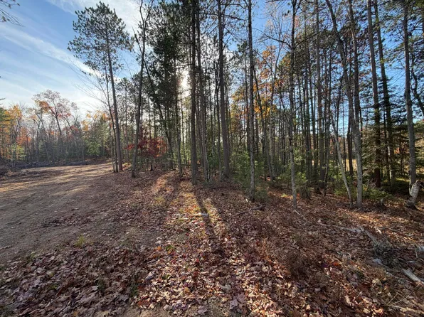 Madeline Ln, Eagle River, WI 54521