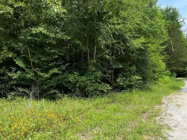 County Road 4131, Mount Vernon, TX 75457