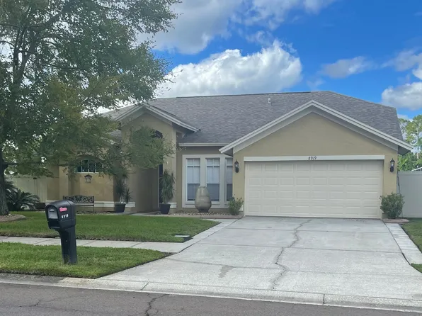 8919 Hannigan Ct, Tampa, FL 33626