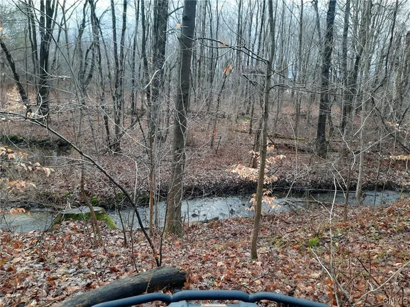 0 Cemetery Dr #2, Hannibal, NY 13074