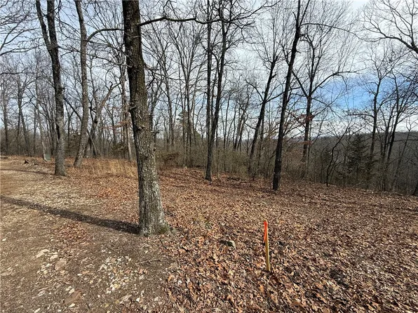 4 Cardinal Ridge Rd Tract 4, Eureka Springs, AR 72632