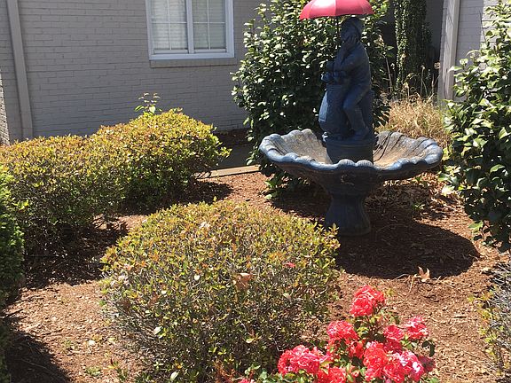 Landscaping before mulch