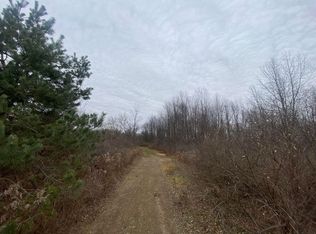 425 Olivet Rd, Bellevue, MI 49021