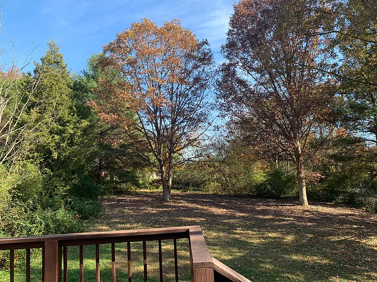 Fenced yard