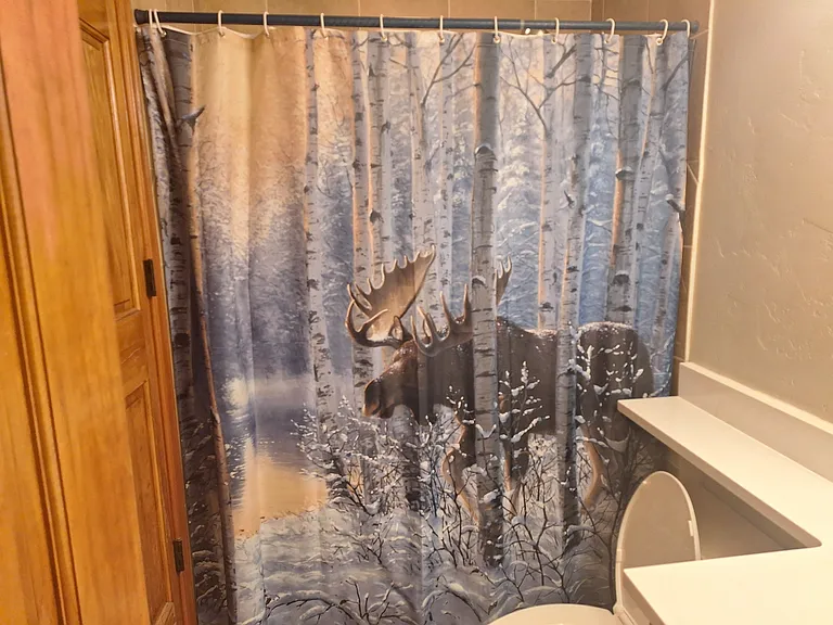 Middle bathroom shower curtain.