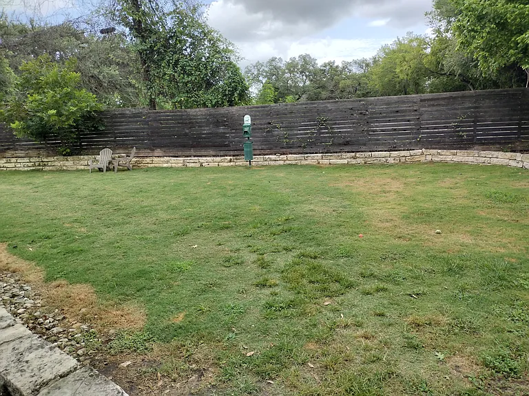 Dog Park