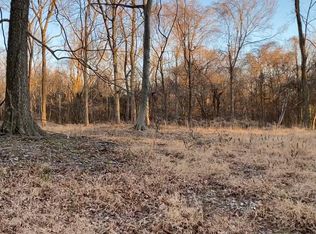 2233 Central Curve Rd, Ripley, TN 38063