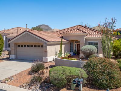 13578 N Buckhorn Cholla Dr, Marana, AZ, 85658