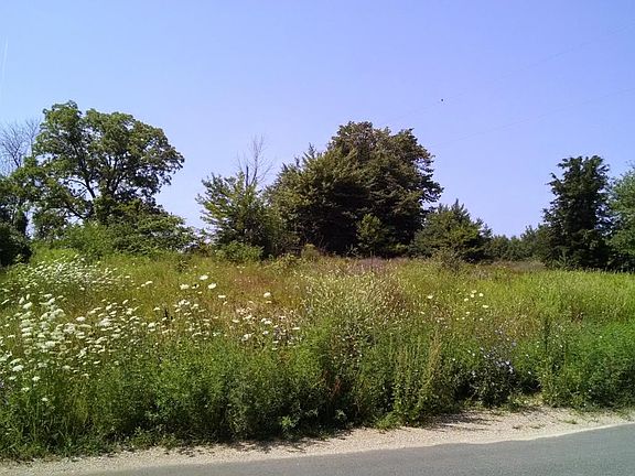 5th image of 1234 68th St