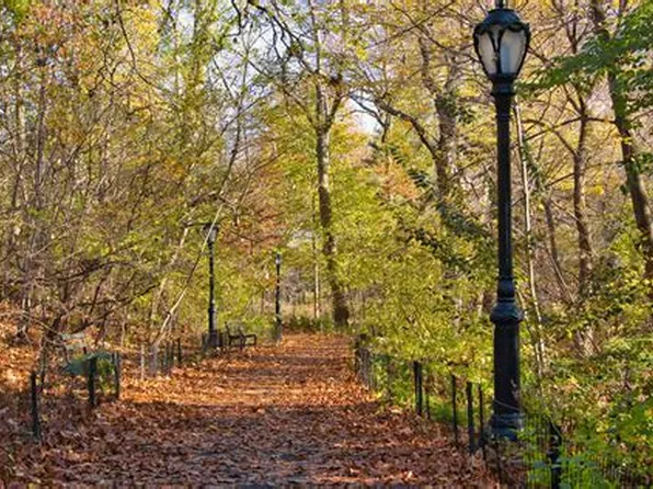 1325 Fifth Avenue image 18 of 24