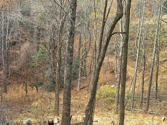 Private Yet Close to Village