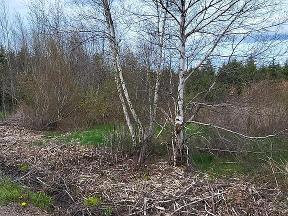 5th image of 178 Trout Brook Rd