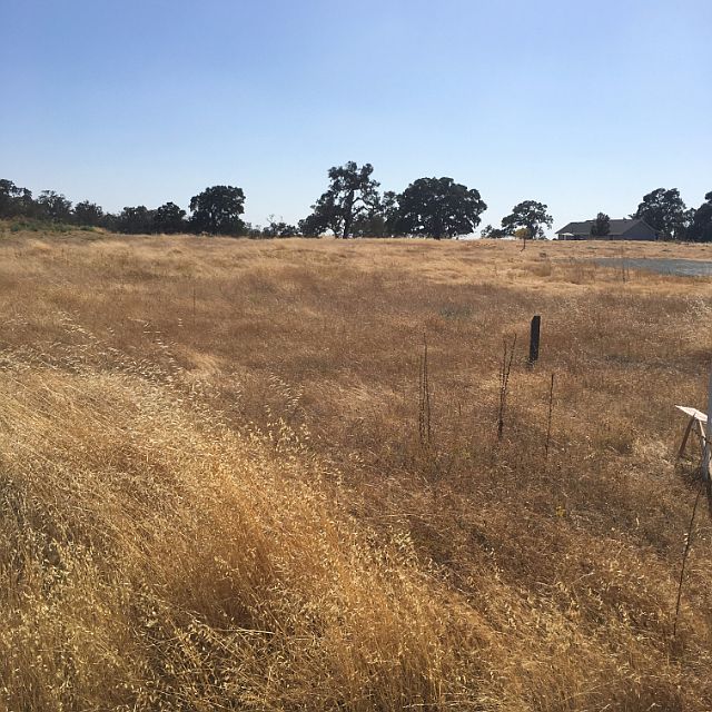 2nd image of 1490 Goose Creek Rd