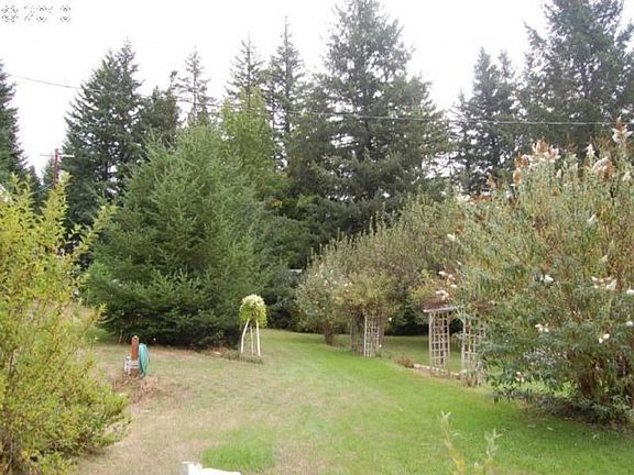 Back yard with fruit trees