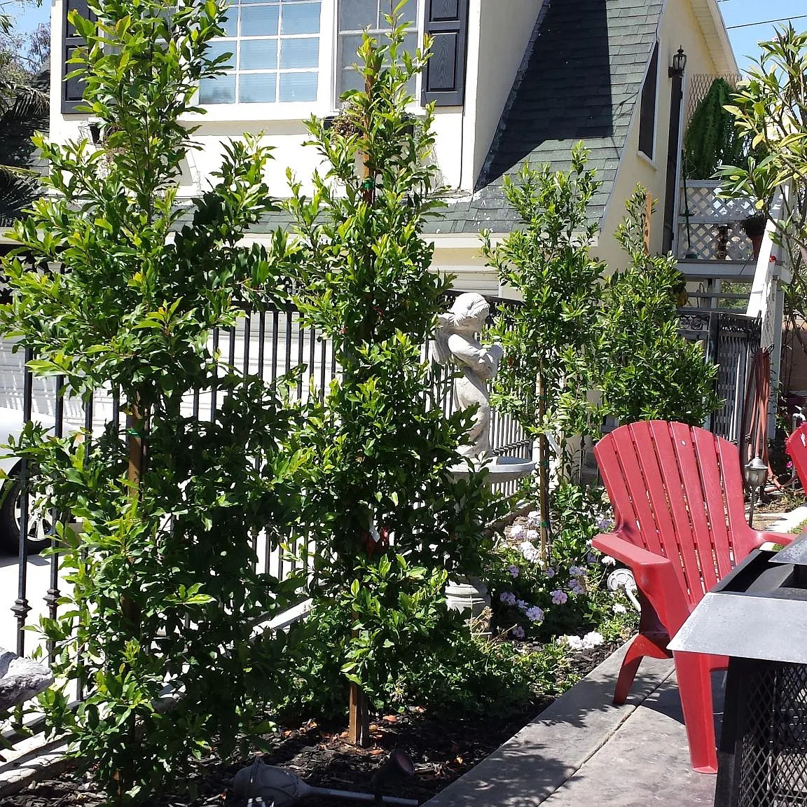Terrace Pl, Whittier — Photo 2