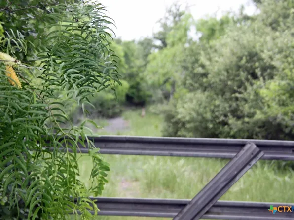 7887 Pettytown Rd, Red Rock, TX 78662