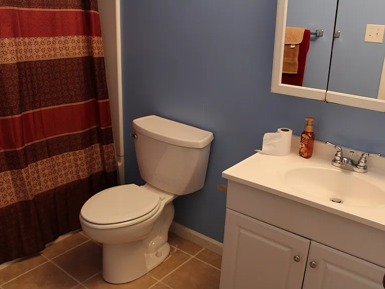 5389 Chatham Lake Dr — Photo 8