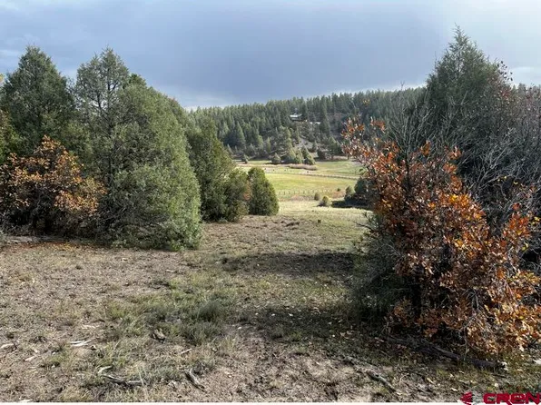 64 Bradley Place, Pagosa Springs, CO 81147