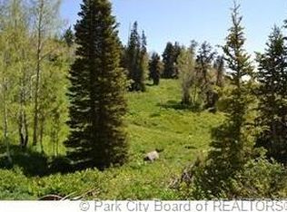 1732 Alexander Canyon Rd, Wanship, UT 84017