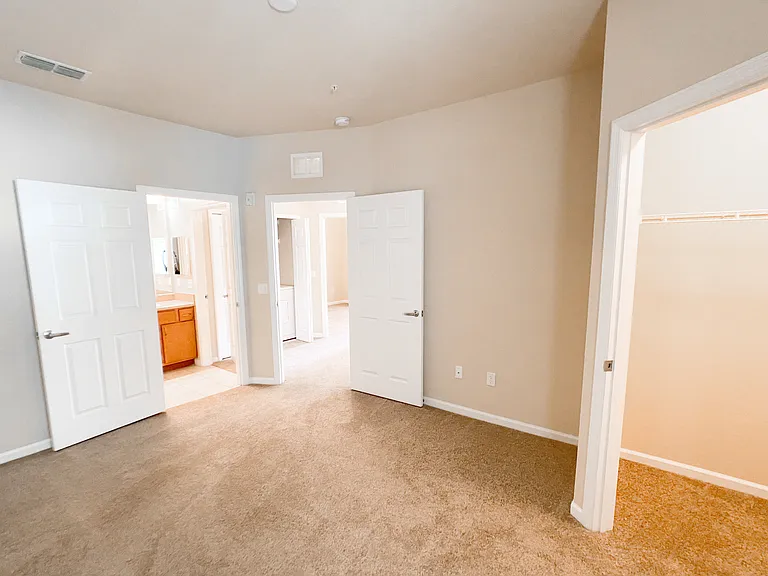 Large Bedroom with Lush Carpet and Walk in Closet Large Bedroom with Lush Carpet and Walk in Closet