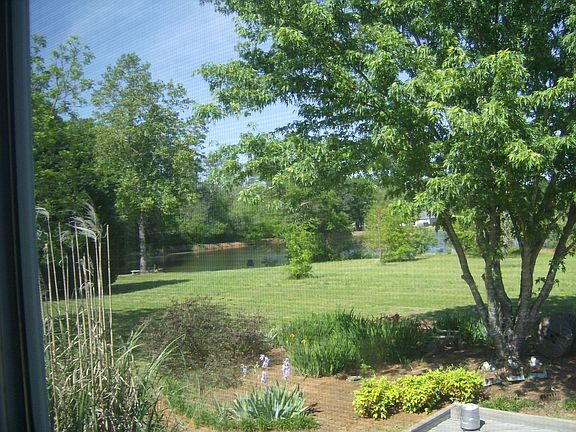 View to the Lake