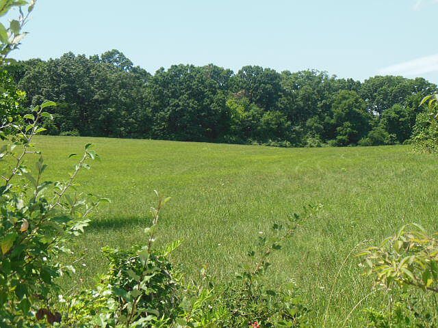 2nd image of 1900 Reavis Ln