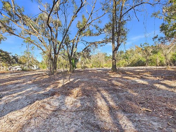 3rd image of Shady Oaks Dr