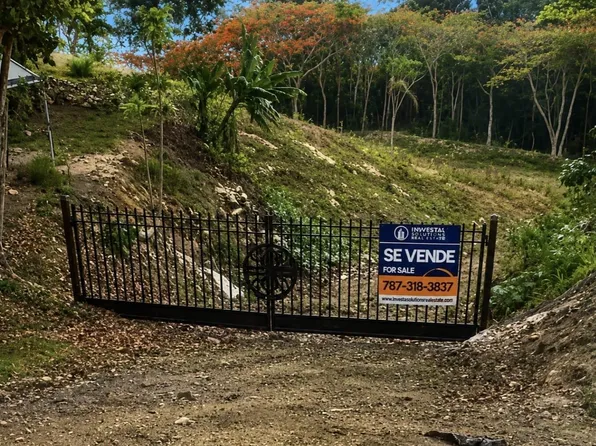 0 Barrio Puente Carretera 4491 Km #.4, Camuy, PR 00627