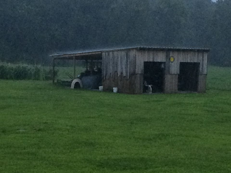 Shed storage for mowers
