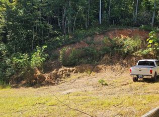 1051 Thomas Branch Rd, Marshall, NC 28753