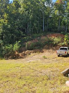 1051 Thomas Branch Rd, Marshall, NC, 28753