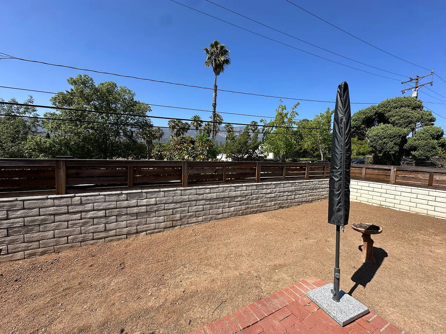 Ronald Chase — Photo 2