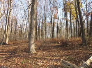 1129 Route 94, Frelinghuysen, NJ 07825