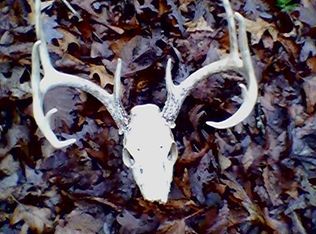 1420 Wray Rd, Gallipolis, OH 45631