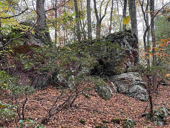 4th image of Tbd Halterman Hollow Ln