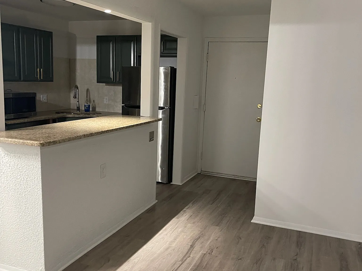 1 bed, 731 sqft, $1,250 — Photo 3