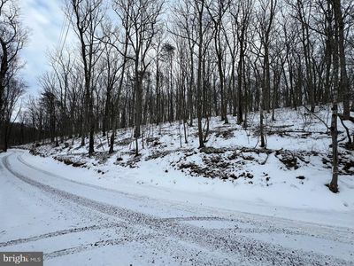 Jermikey Ct, Hedgesville, WV, 25427
