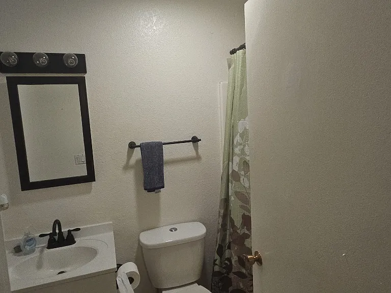 Hall bathroom