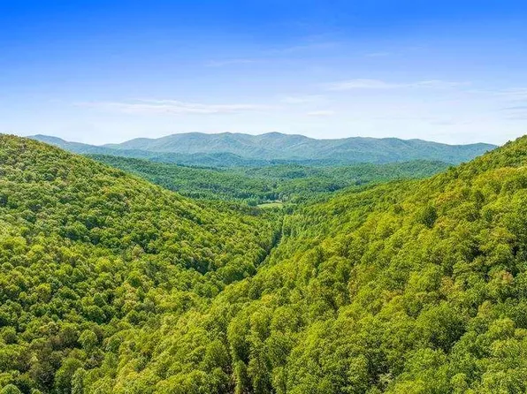 LOT 18 Cub Trl, Cherry Log, GA 30522