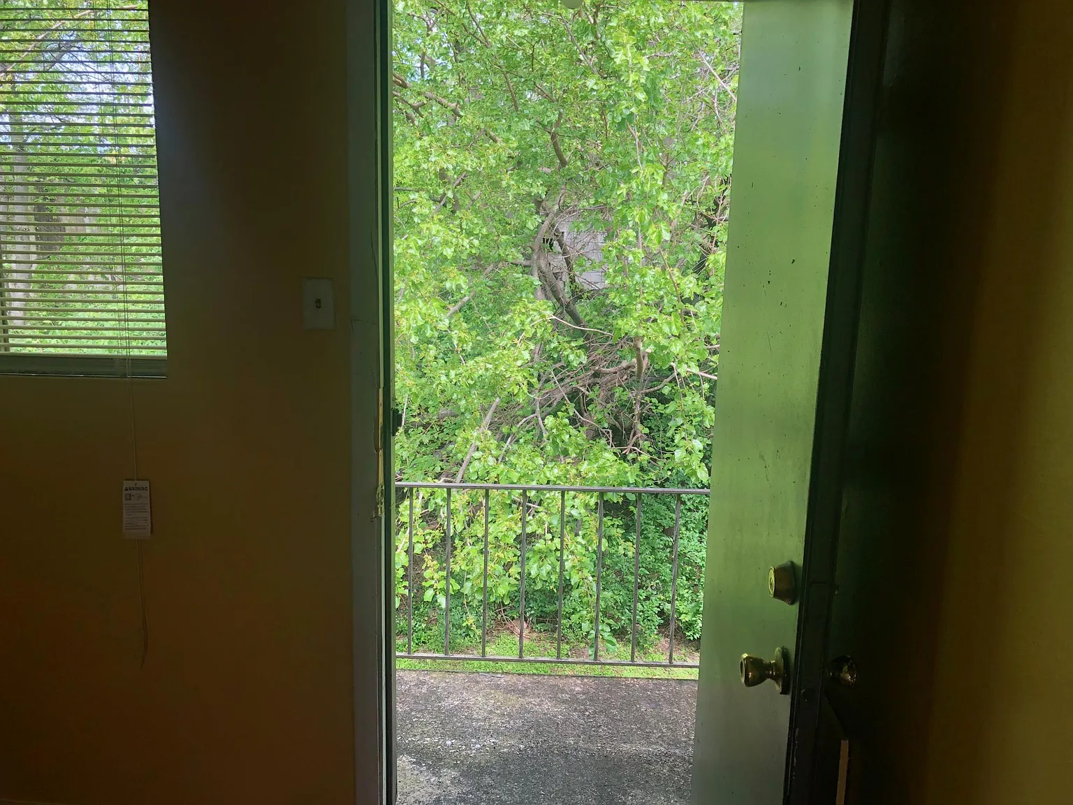 312 1st Ave N — Photo 3