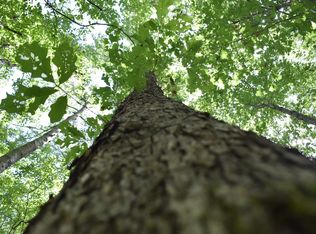 Mount Olive Rd, Many, LA 71449