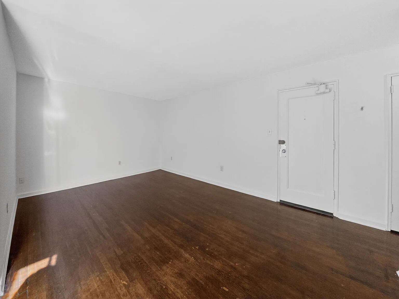 1 bed, 559 sqft, $1,445 — Photo 3