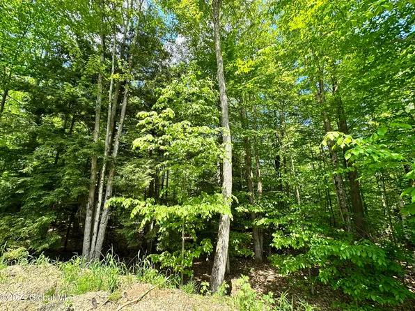 L45.11 Parker Road, Corinth, NY 12822