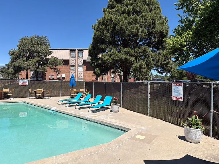 Spring Creek — Photo 13
