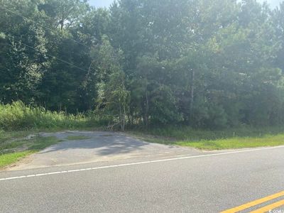 TBD Long Branch Swamp Rd., Green Sea, SC, 29545