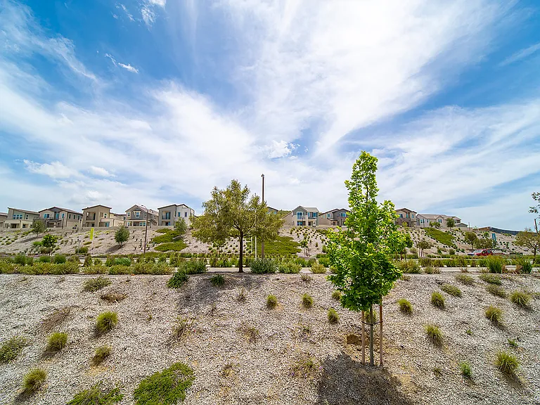 27218 Narrowleaf Willow Ln — Photo 40
