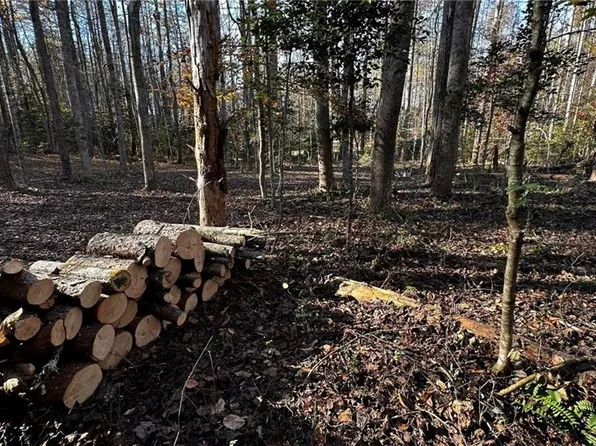 Bud West Rd, Boomer, NC 28606